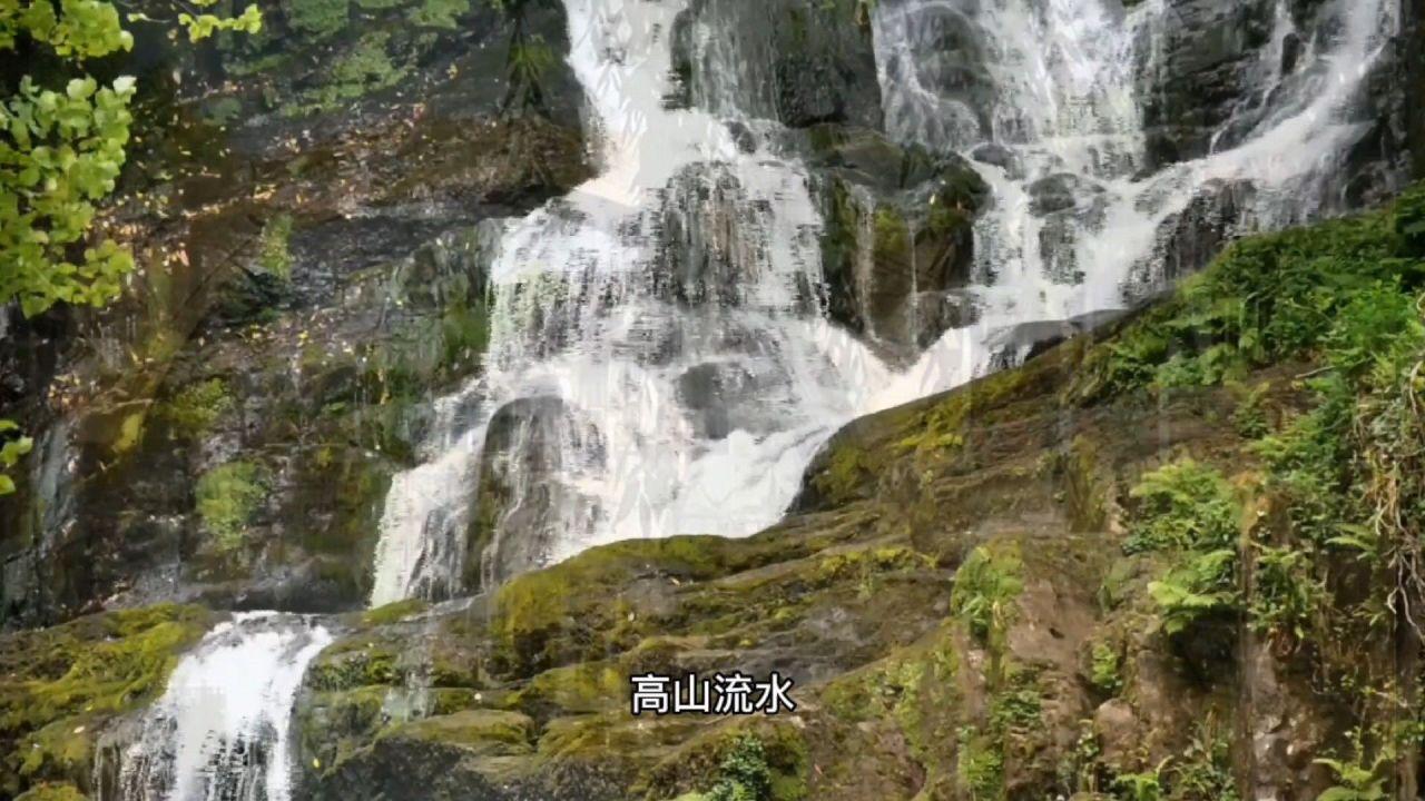 精灵的居住地